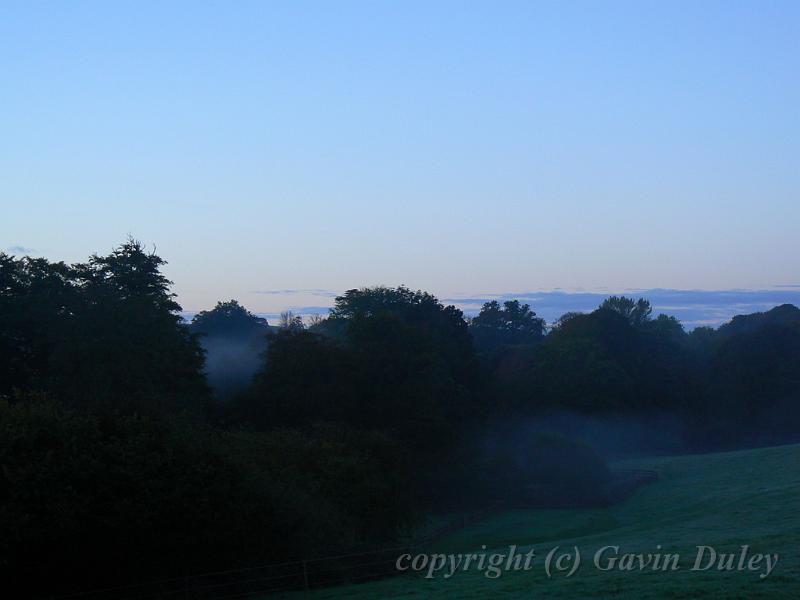 Early morning, near Beaminster P1150528.JPG